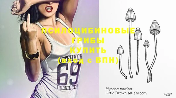 метадон Алзамай