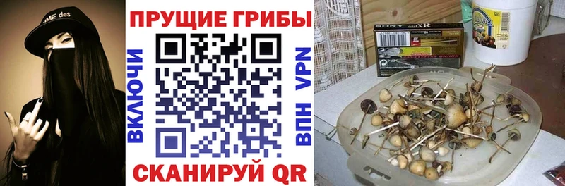 KRAKEN tor  Салават  Псилоцибиновые грибы Psilocybine cubensis  закладки 